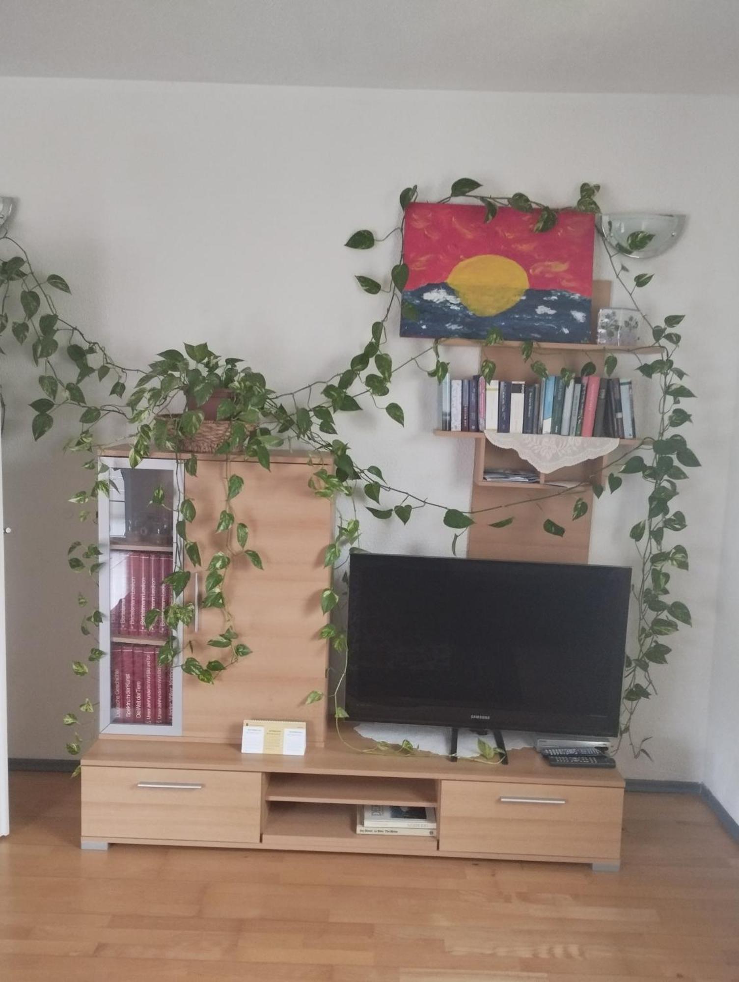 Ferienwohnung Lottstetten 外观 照片